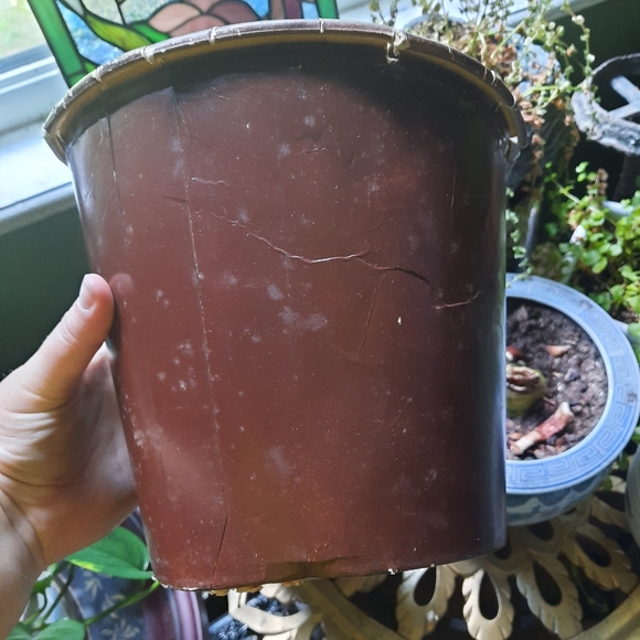 ~{KFC}~ Vintage 1969 KFC Chicken bucket. - Picture 7 of 10